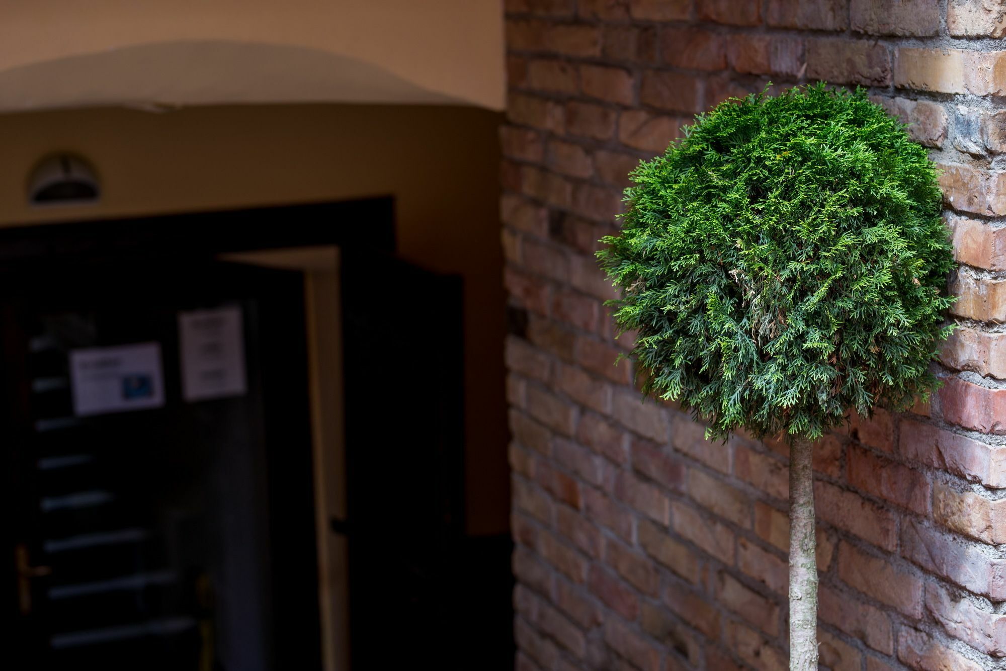 Apartmá  Záhřeb Exteriér fotografie