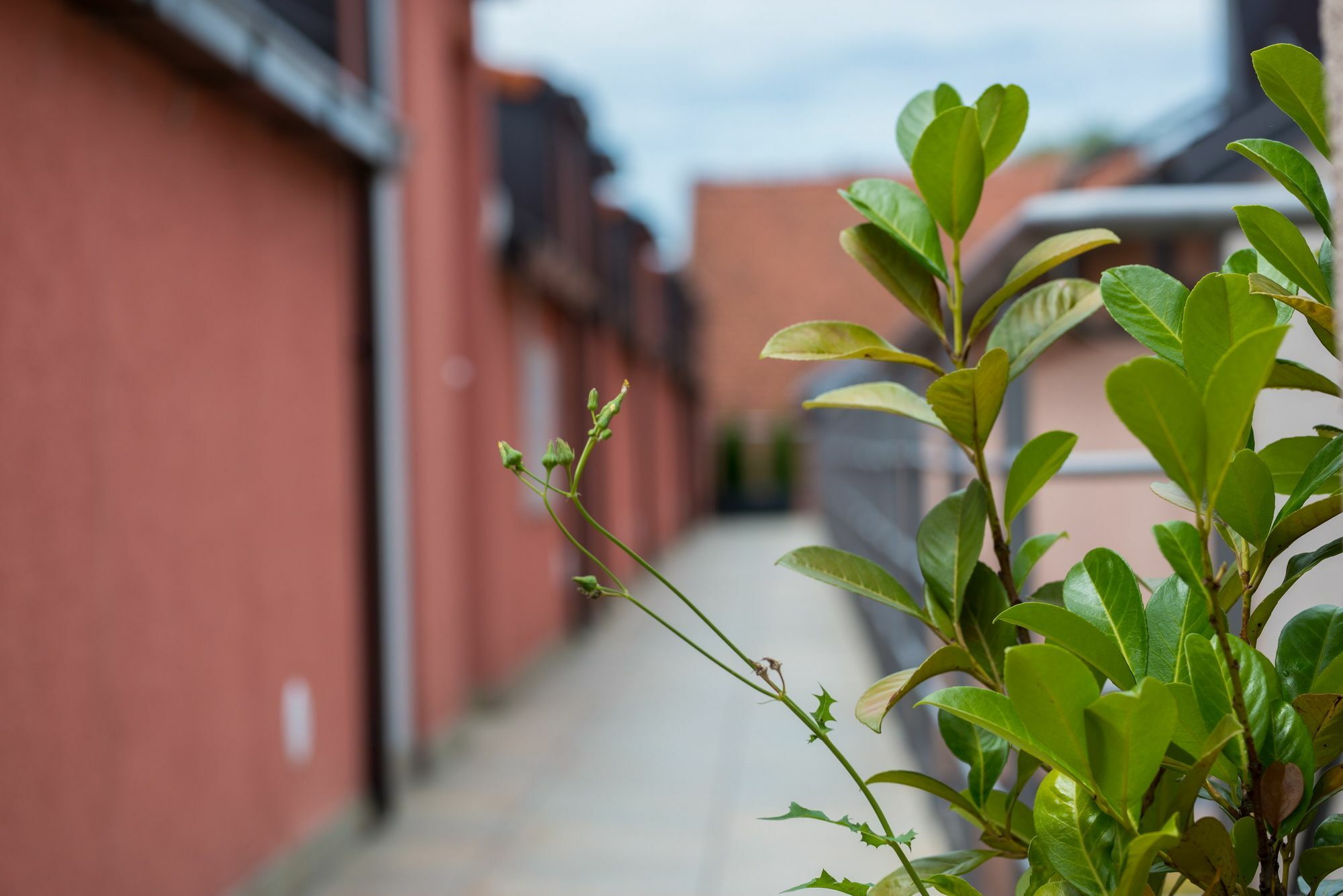 Apartmá  Záhřeb Exteriér fotografie
